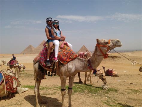 camel price in egypt