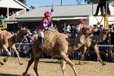 camel races australia 2024