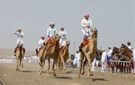 camel racing in saudi arabia