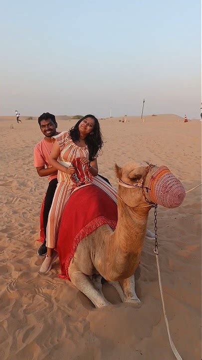 camel ride expectation reality