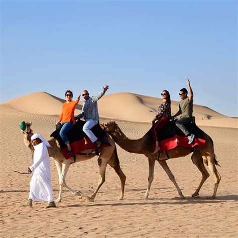 camel ride in abu dhabi