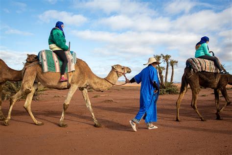 camel ride marrakech price