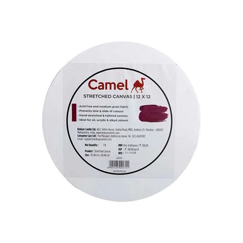 Camel Stretched Canvas Sizes