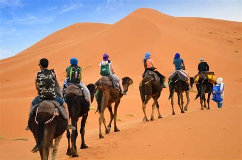camel trekking experience