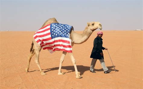 camels in the southwest us