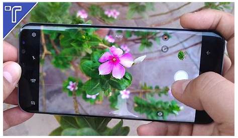 Camera Samsung S8 Plus Galaxy Review; A Masterpiece Techish