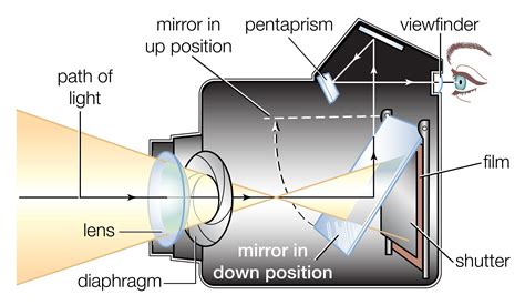 Camera Body Definition