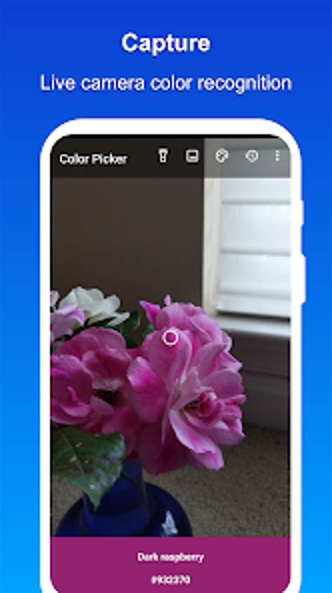 Camera Color Picker