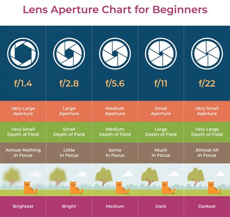 Camera Lens Beginners Guide