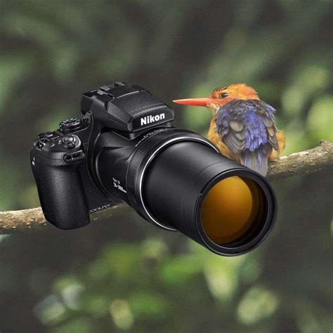 camera lens for birding