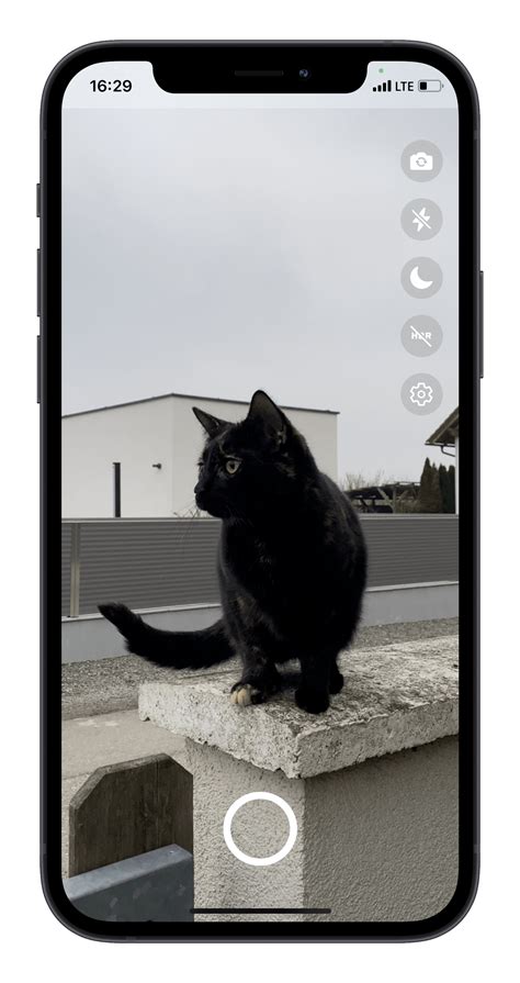 Camera Overlay React Native