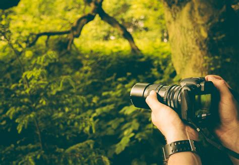 camera taking pictures nature