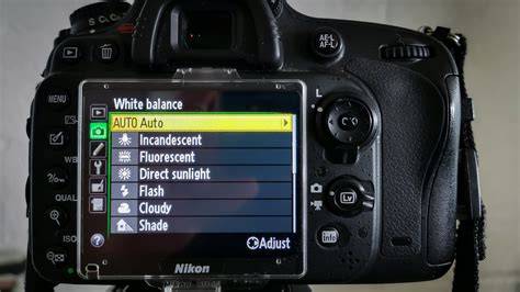 White Balance Settings