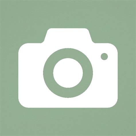 Camera Widget Sage Green