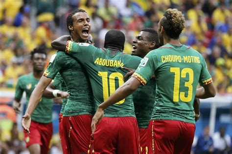 cameroon 2014 world cup