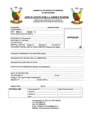 cameroon passport application online