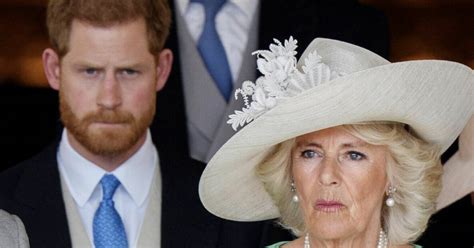 Unveiling the Majesty: Camilla Prins' Royal Style Secrets