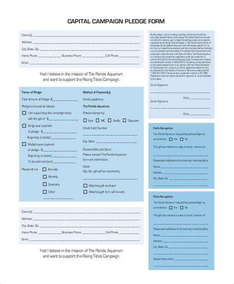 campaign finance pledge form template