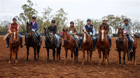 Campdraft Calendar 2024 Qld