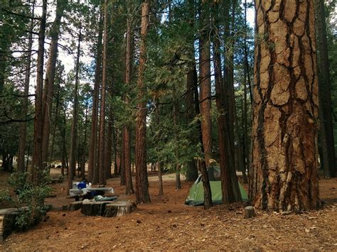Observations Camping at Idyllwild State Park