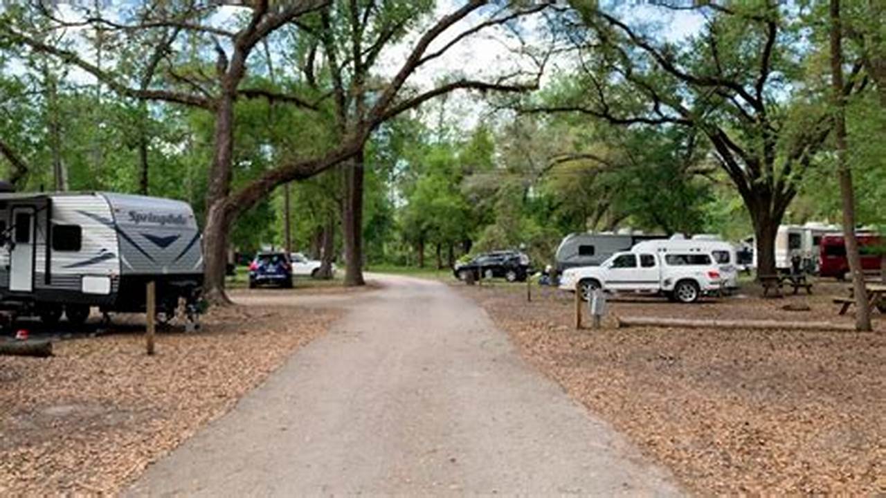 Camping at Highlands Hammock State Park: A Guide to an Unforgettable Outdoor Adventure