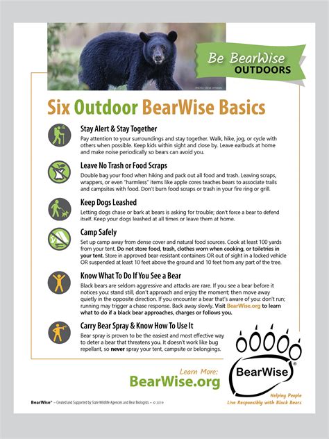 Camping Bear Safety Tips