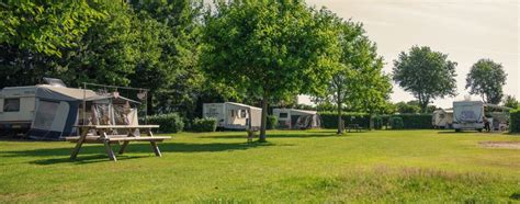 camping bij den bosch