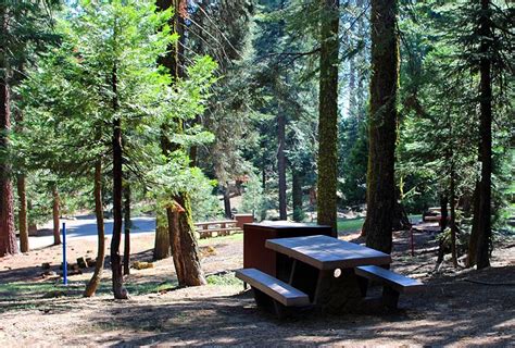 camping in kings canyon national park