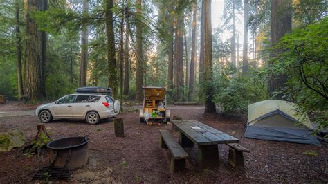 Camping in the Pines