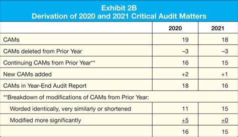 cams audit
