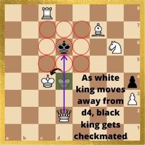 rules Can the King be put in Check by a piece that
