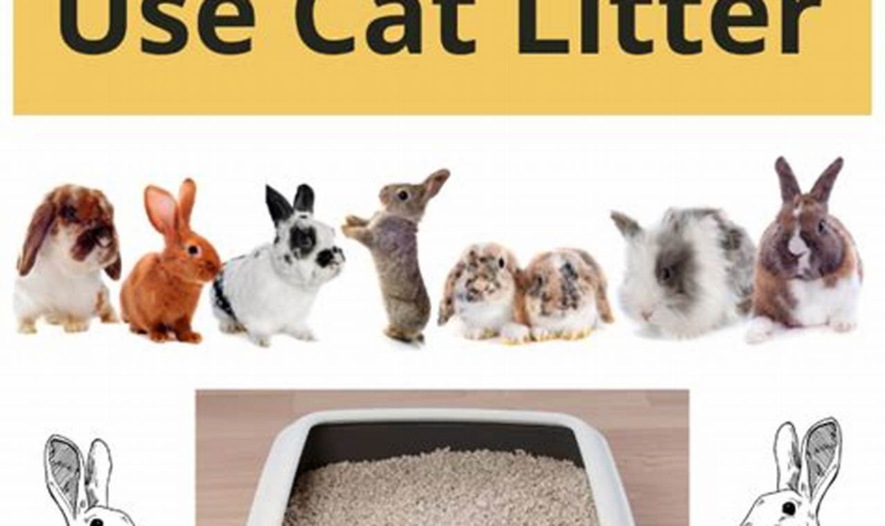 can a rabbit use cat litter