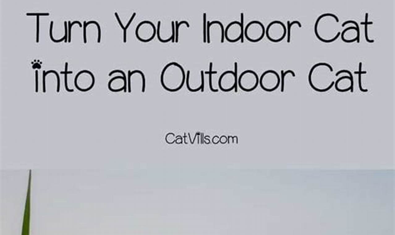 can an indoor cat become an outdoor cat
