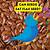 can birds eat flax seed