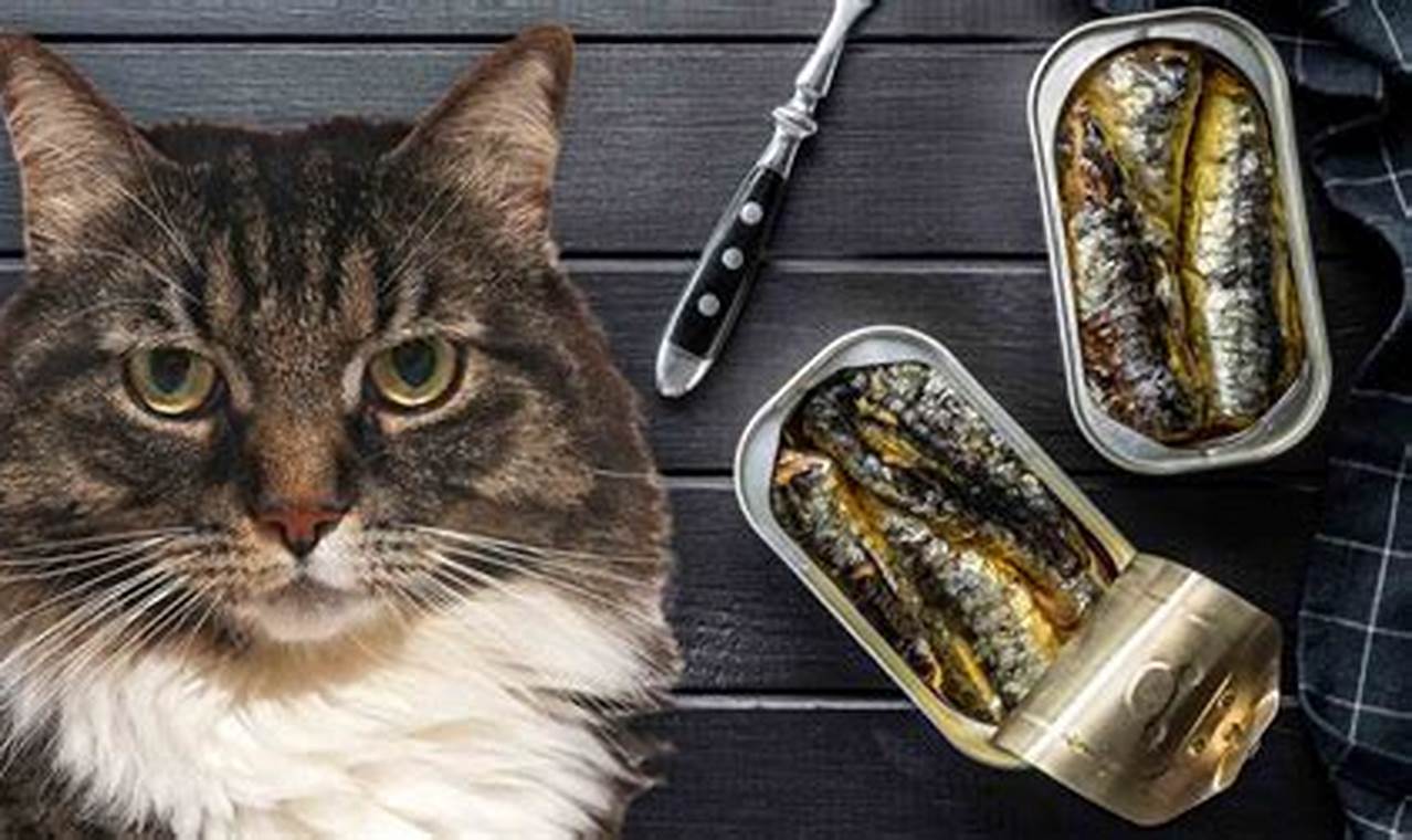 can cats eat canned sardines