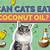 can cats eat coconut oil