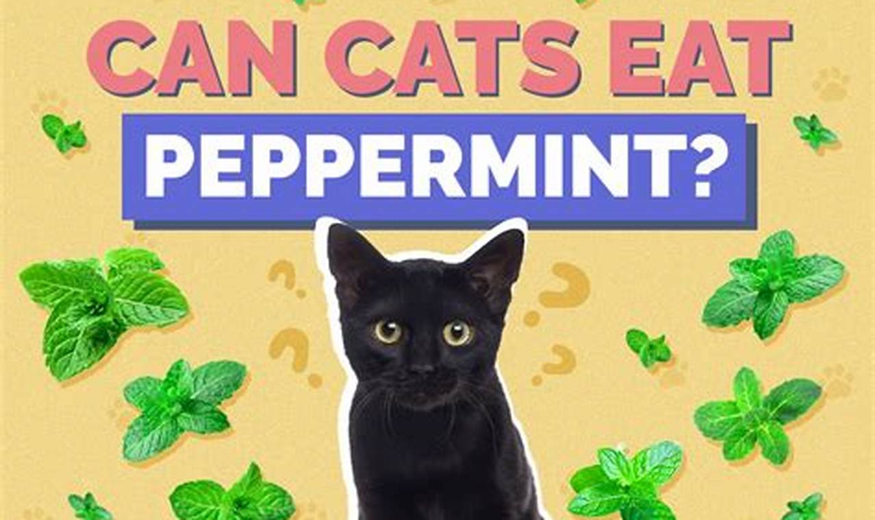 can cats eat peppermint