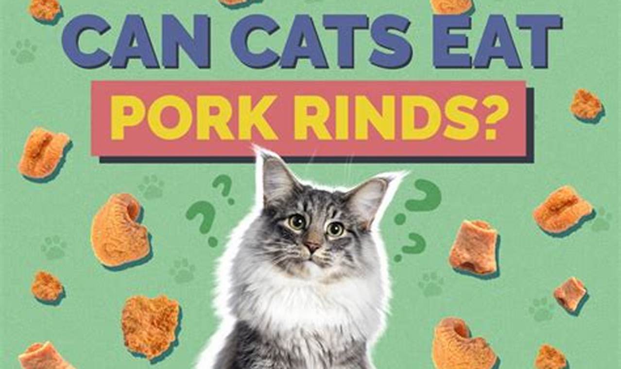 can cats eat pork rinds