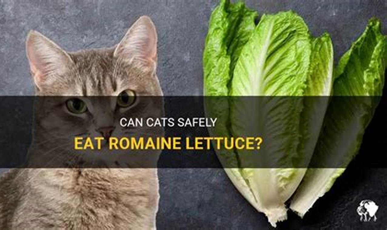 can cats eat romaine lettuce