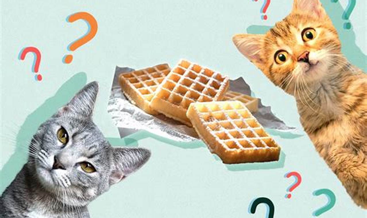 can cats eat waffles