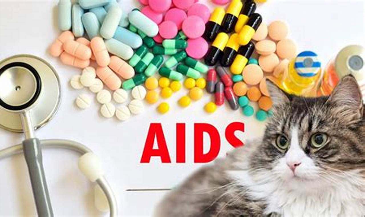 can cats get hiv