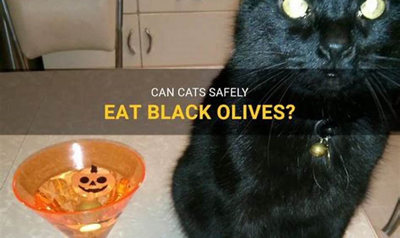 can cats have black olives
