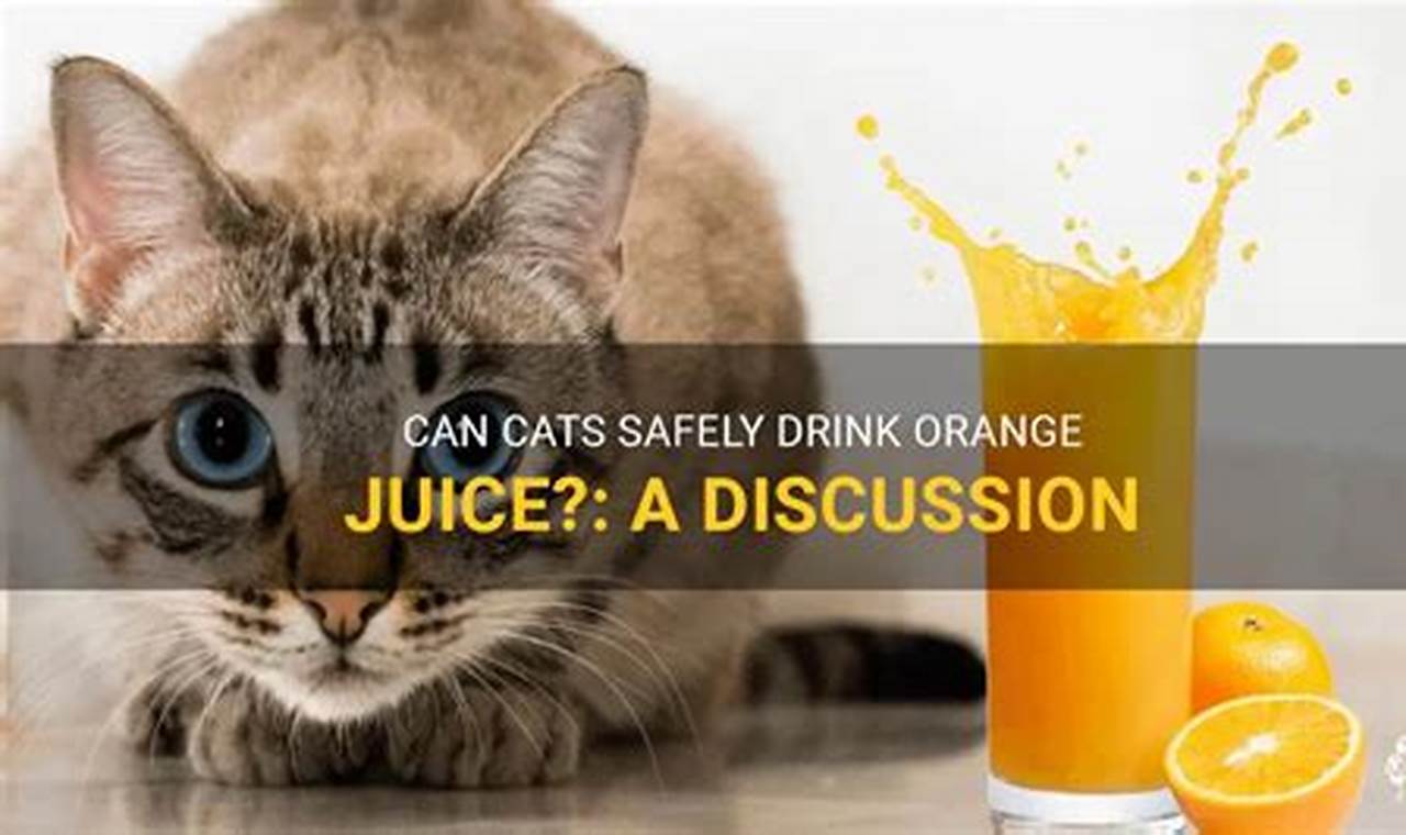can cats have orange juice