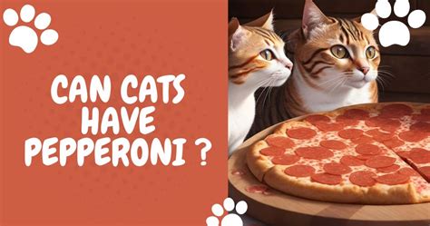 Can Cats Eat Pepperoni? Is It Healthy For Your Cat?