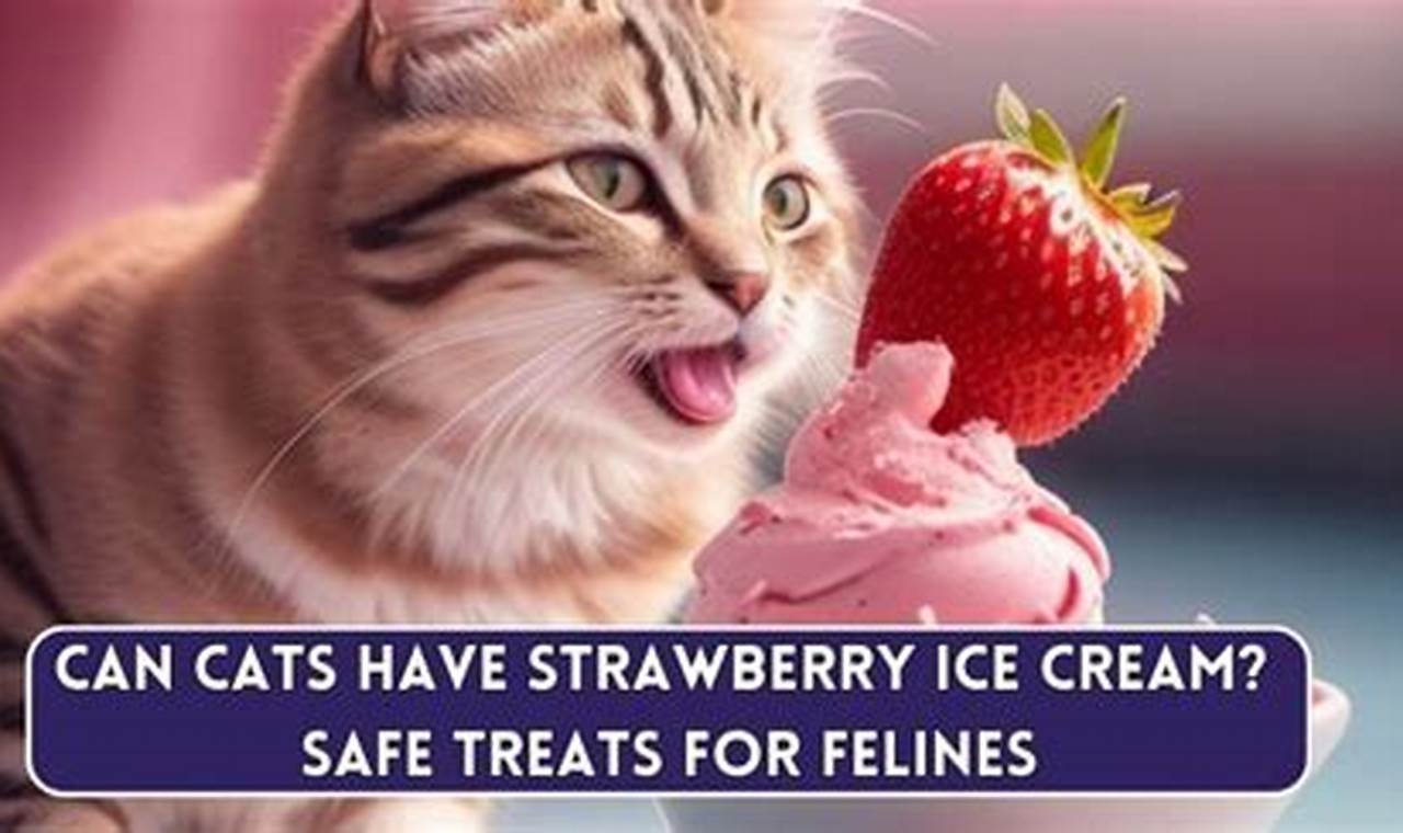 can cats have strawberry ice cream