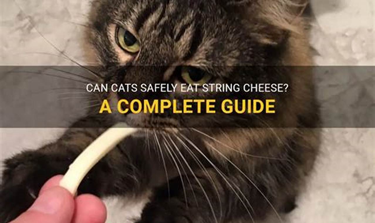 can cats have string cheese