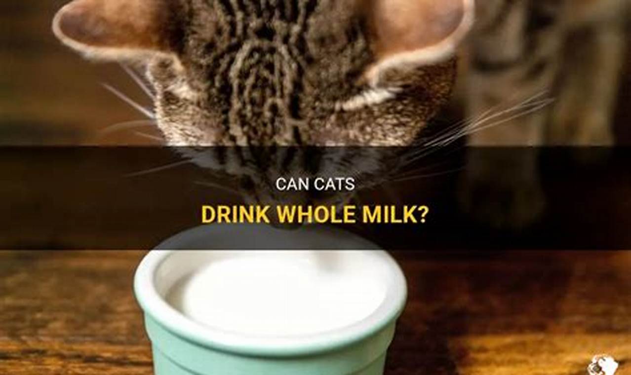 can cats have whole milk
