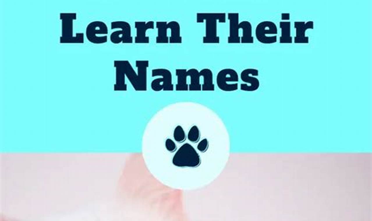 can cats learn their names