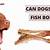 can dogs eat fish bones