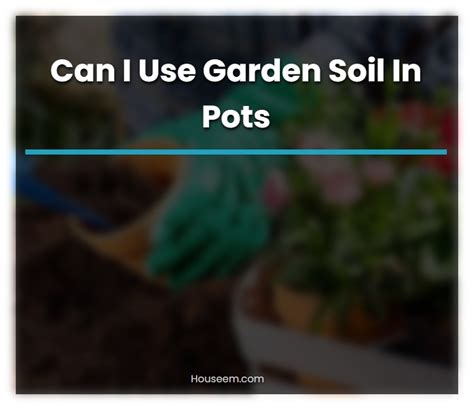Potting Soil Horticulture Magazine